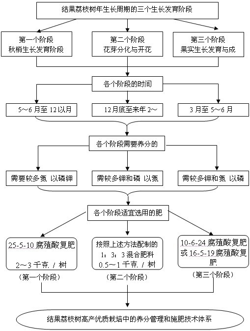 荔枝施肥表